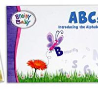 Brainy Itsy-bitsy one Educate Your Youngster ABCs Finding out Library: Introducing the Alphabet Board E-book, DVD and Flashcards Deluxe Model